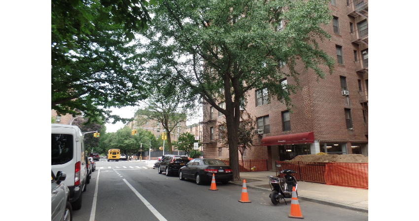 Ruth  Demetriou Queens