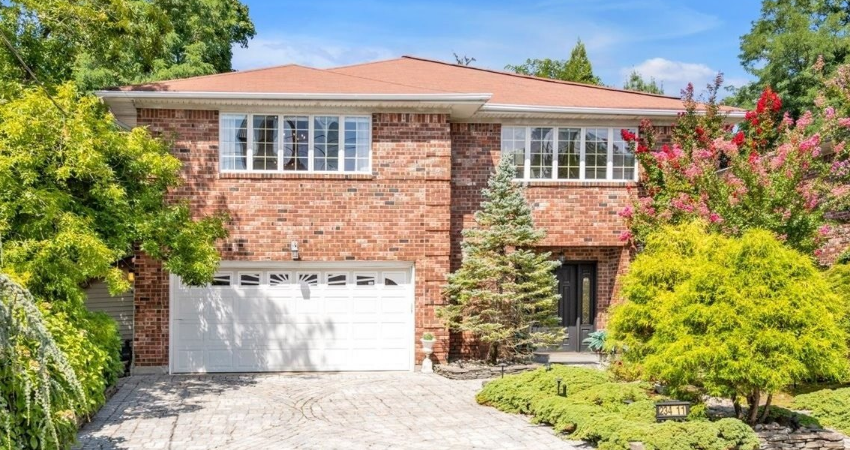 David  Esposito Queens